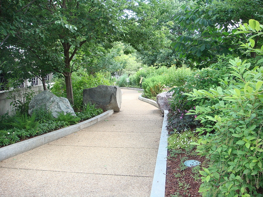 Washington DC [2009 July 03] 052.JPG - Scenes from The Smithsonian Butterfly Habitat Garden